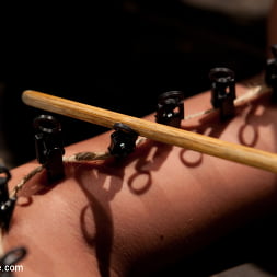 Trina Michaels in Boobs in Bondage - A day with Trina (Photo 13) Trina Michaels in 'Kink' Boobs in Bondage - A day with Trina (Thumbnail 13)