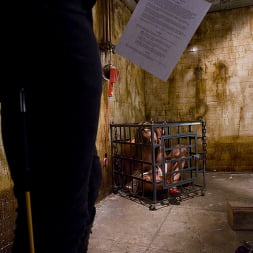 Trina Michaels in 'Kink' The Training of Trina Michaels, Day One (Thumbnail 1)