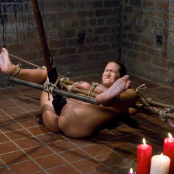 Trina Michaels in Tongue Tied and Tit Tormented Trina Michaels (Photo 7) Trina Michaels in 'Kink' Tongue Tied and Tit Tormented Trina Michaels (Thumbnail 7)