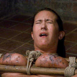 Trina Michaels in Tongue Tied and Tit Tormented Trina Michaels (Photo 8) Trina Michaels in 'Kink' Tongue Tied and Tit Tormented Trina Michaels (Thumbnail 8)