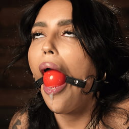 Vanessa Sky in Vanessa Sky: Bondage Slut Begs For More (Photo 7) Vanessa Sky in 'Kink' Vanessa Sky: Bondage Slut Begs For More (Thumbnail 7)