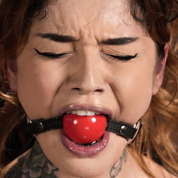 Vanessa Vega in Nasty Fucking Bitch: Vanessa Vega (Photo 7) Vanessa Vega in 'Kink' Nasty Fucking Bitch: Vanessa Vega (Thumbnail 7)