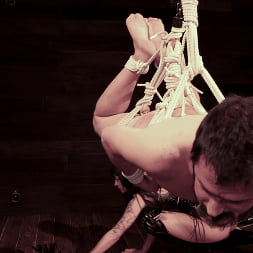 Vanessa Vega in 'Kink' Peeping Tom Gets Gangbanged (Thumbnail 29)