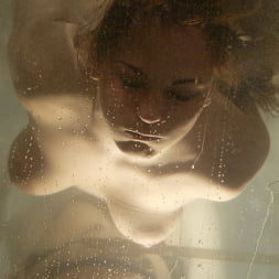 Venus en 'Kink' Venus (Miniatura 14)