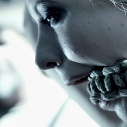 Veruca James in DECEPTION plus Bonus Material A Fantasy Feature (Photo 4) Veruca James in 'Kink' DECEPTION plus Bonus Material A Fantasy Feature (Thumbnail 4)