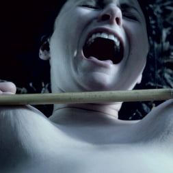 Veruca James in DECEPTION plus Bonus Material A Fantasy Feature (Photo 11) Veruca James in 'Kink' DECEPTION plus Bonus Material A Fantasy Feature (Thumbnail 11)