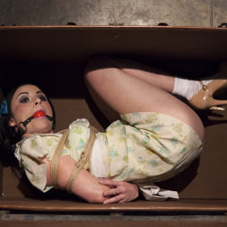 Veruca James in 'Kink' Molested Puppet (Thumbnail 2)