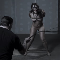 Victoria Voxxx in 'Kink' Diary of a Madman, Episode 2: 'Working The New Pet' (Thumbnail 15)