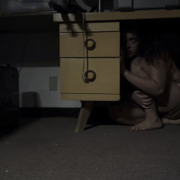 Victoria Voxxx in 'Kink' Diary of a Madman, Episode 3: 'The Test' (Thumbnail 19)