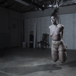 Victoria Voxxx in 'Kink' Diary of a Madman, Episode 3: 'The Test' (Thumbnail 29)