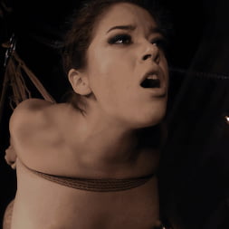 Victoria Voxxx in The Escort: Victoria Voxxx and Derrick Pierce (Photo 16) Victoria Voxxx in 'Kink' The Escort: Victoria Voxxx and Derrick Pierce (Thumbnail 16)