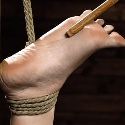 Victoria Voxxx in Victoria Voxxx: Brutal Bondage (Photo 7) Victoria Voxxx in 'Kink' Victoria Voxxx: Brutal Bondage (Thumbnail 7)