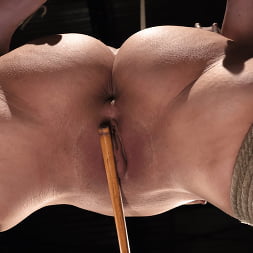 Victoria Voxxx in Victoria Voxxx: Brutal Bondage (Photo 16) Victoria Voxxx in 'Kink' Victoria Voxxx: Brutal Bondage (Thumbnail 16)