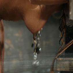 Vixen Fyre in 'Kink' Vixen Fyre (Thumbnail 6)