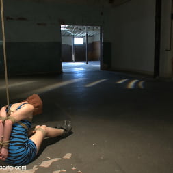 Sasha Knox in Tied up and Taken Down! (Photo 9) Sasha Knox in 'Kink' Tied up and Taken Down! (Thumbnail 9)