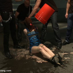 Sasha Knox in Tied up and Taken Down! (Photo 12) Sasha Knox in 'Kink' Tied up and Taken Down! (Thumbnail 12)