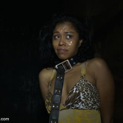 Yasmine de Leon in 'Kink' Bakery Disgrace (Thumbnail 5)