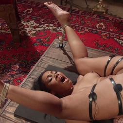 Yasmine de Leon in Horny Slut Begs For Multi-Orgasmic Electro Fucking (Photo 8) Yasmine de Leon in 'Kink' Horny Slut Begs For Multi-Orgasmic Electro Fucking (Thumbnail 8)