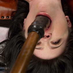 Yhivi in Sweet Yhivi is Decimated in Brutal Bondage, Torment, and Screaming Orgasms! (Photo 7) Yhivi in 'Kink' Sweet Yhivi is Decimated in Brutal Bondage, Torment, and Screaming Orgasms! (Thumbnail 7)